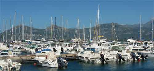 Le port de Calvi Corse