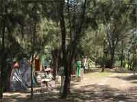 Le camping le Bellavista à Calvi