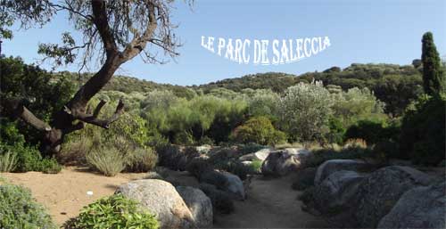 Le parc de Saleccia à 4 km de l'Ile Rousse en Haute Corse