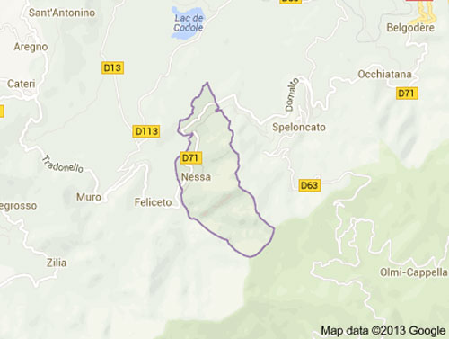 Haute Corse : Situation de Nessa sur le plan