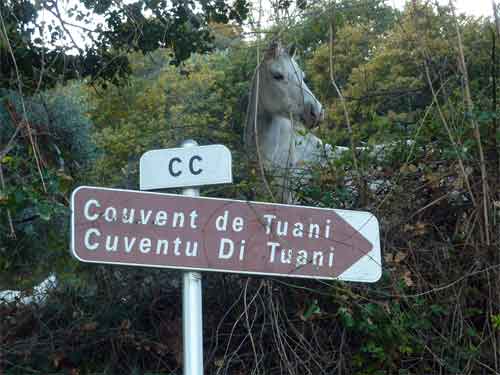 Le couvent de Tuani
