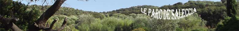 Jardin botanique Ile Rousse